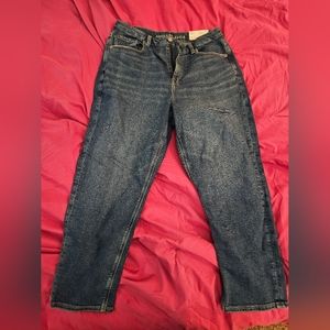 American Eagle Curvy Mom Jean 12 Short